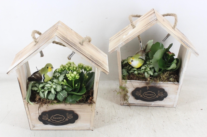 <h4>arr2 TD - Hout huis puntdak - roze/wit</h4>