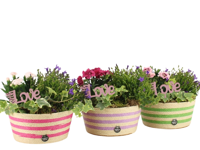 <h4>21999: Love outdoor arrangement</h4>