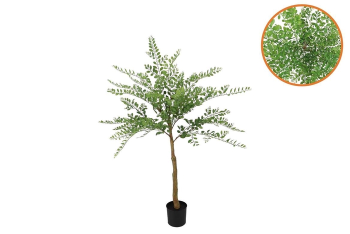 <h4>Silk Sophora Tree Green 105cm</h4>