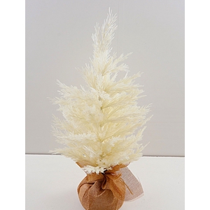 Ceder Tree Burlap Base Cream