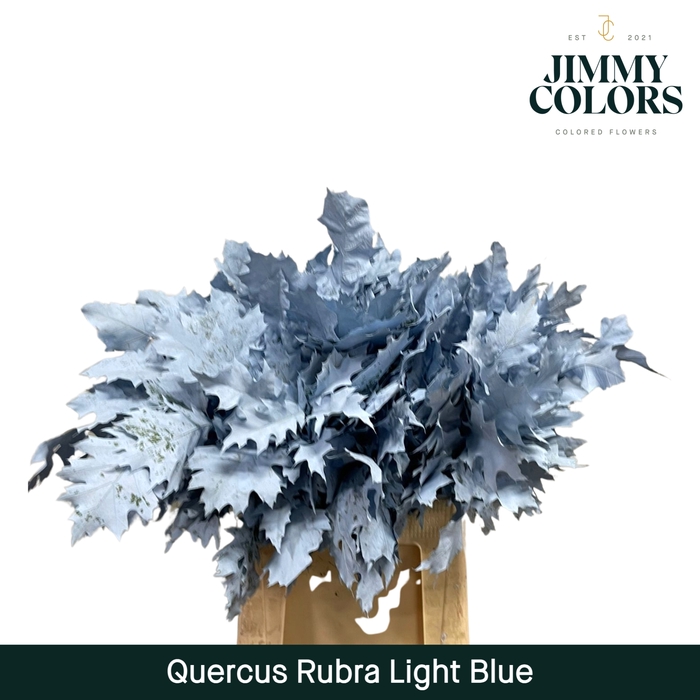 <h4>Quercus Rubra L60 Light blue</h4>