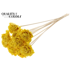Shola Dahlia 6cm on stem Wax Yellow