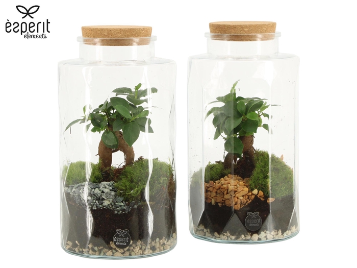 <h4>90871: Terrarium Pencil&waffle D14 / H25</h4>