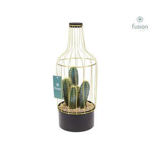 Fles metaal goudzwart Medium met Cactus