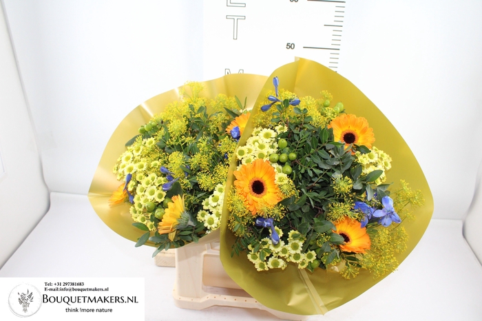 <h4>GEM BOEKET OV</h4>