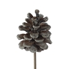 Pine cone 5-7cm on stem Frosted White
