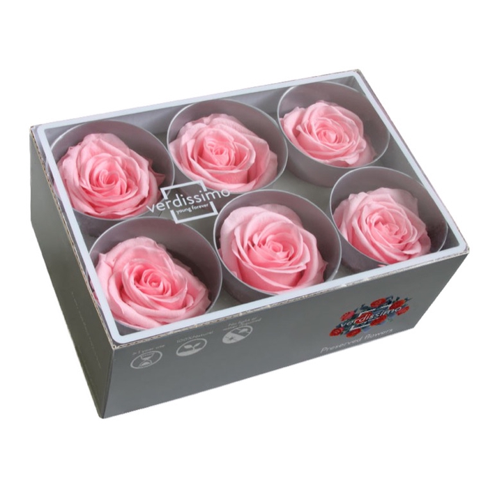 <h4>Rose standard roze</h4>