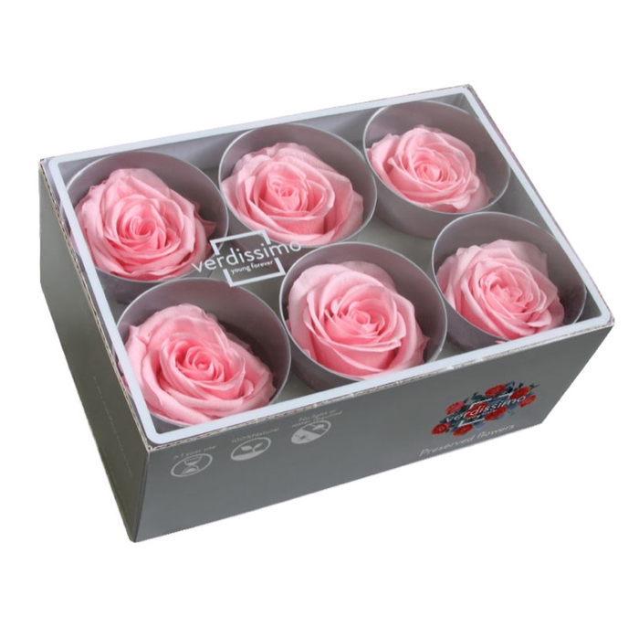 Rose standard roze