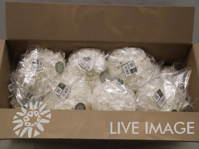 Dried hydrangea white