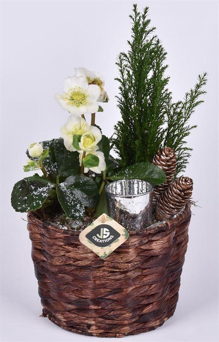 <h4>Mais mand bruin 20cm</h4>