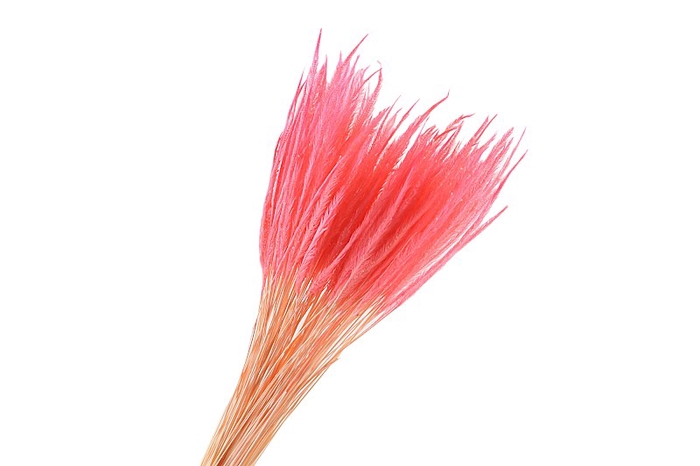 <h4>Soft Worms Grass Pink</h4>
