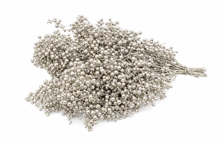 <h4>Schinus M Pt Platinum Bunch</h4>