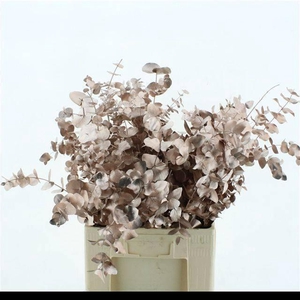 EUC CIN KLB P BOS H%