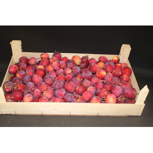 F Sier Appels Rood Hout Kist