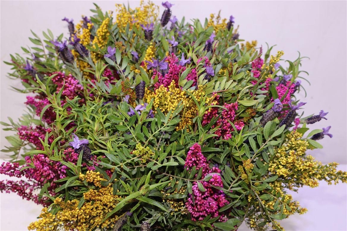 <h4>Bqt Cote D Azur</h4>