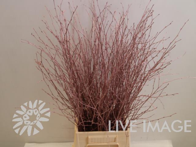 <h4>Betula paint rosegold</h4>