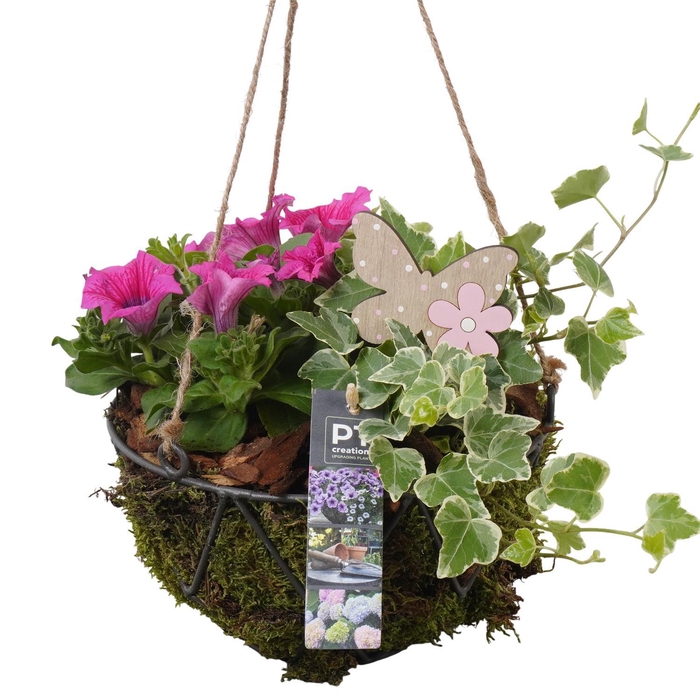 <h4>PTPP6913 Arrangement Patio in metalen hangpot</h4>
