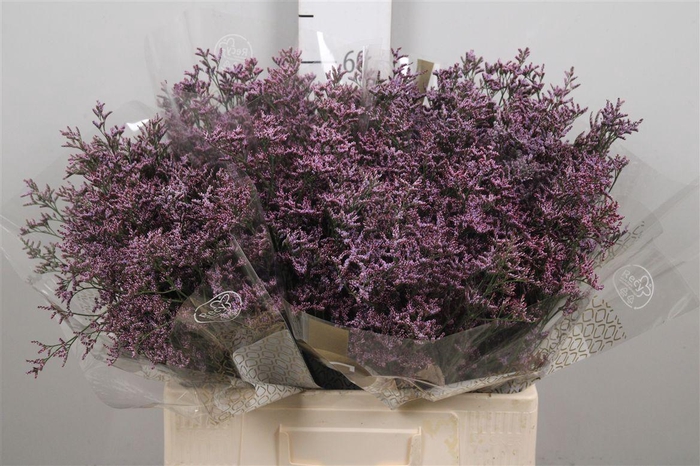 <h4>Lim Saf Pink Sky</h4>