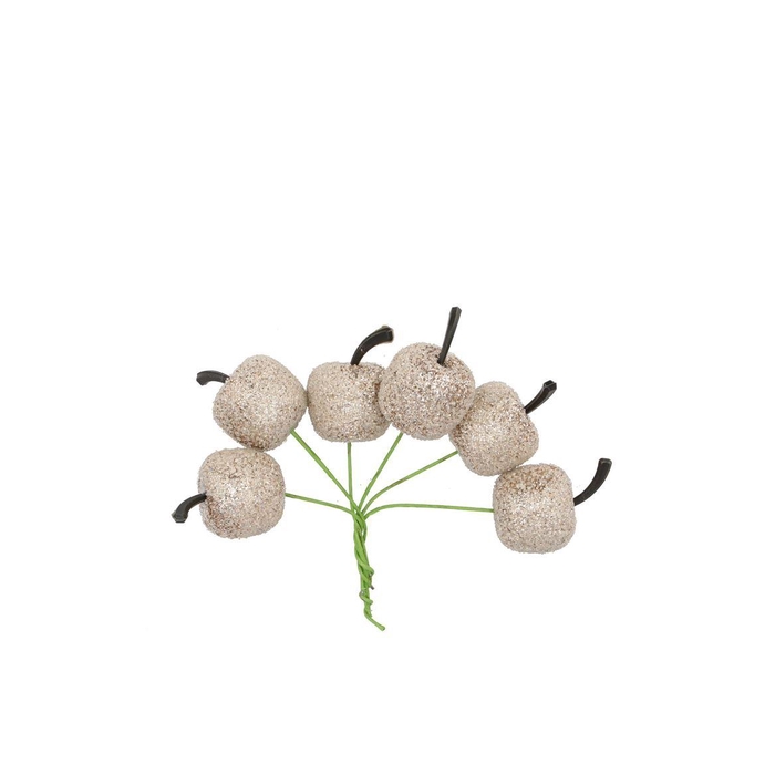 <h4>Pick Shine Apple Cozy Champagne 3x7cm Per 72</h4>