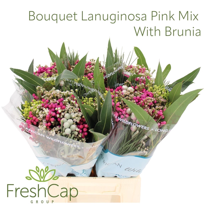 <h4>Bouquet Lanuginosa Pink Mix With Brunia</h4>