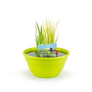 Terrasschaal Lime met mixmand