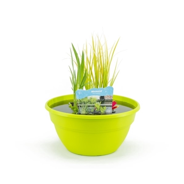 Terrasschaal Lime met mixmand