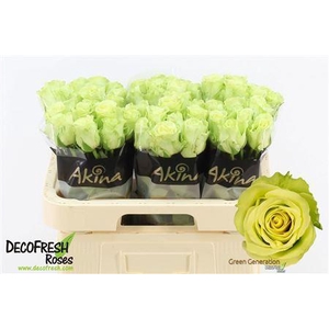 R Gr Green Generatio