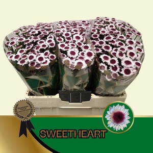 CHR S SWEETHEART