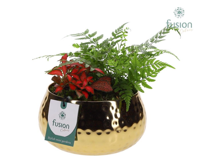 <h4>Schaal Indian metaal goud met Arrangement</h4>