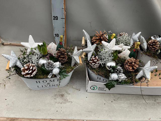 <h4>ARR BOL KNOLGEWAS</h4>