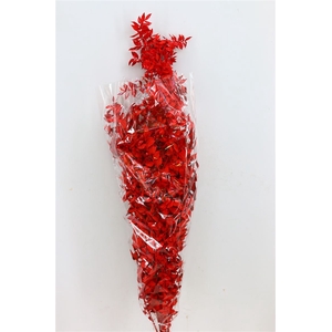 Dried Ruscus Nat Ferrari Red Glitter