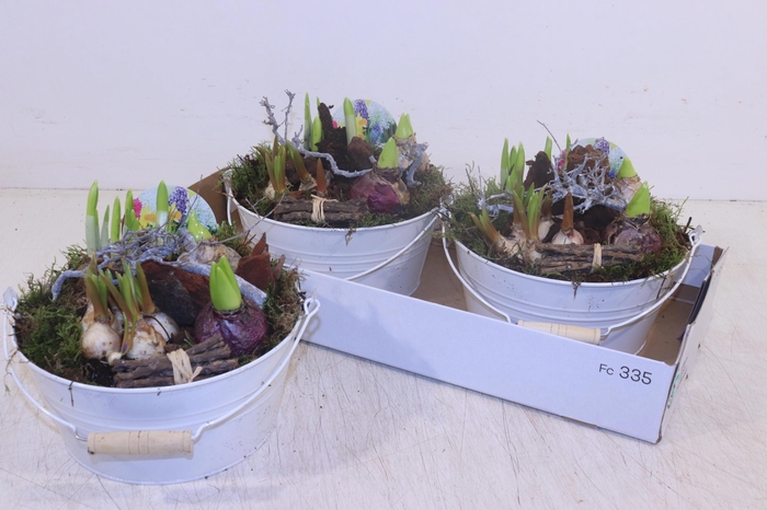 <h4>ARR BOL KNOLGEWAS</h4>