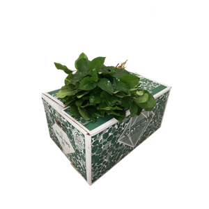 SALAL  TIPS  GREEN DIAMOND
