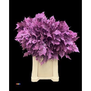 Eikeblad Frosted Cerise 80cm