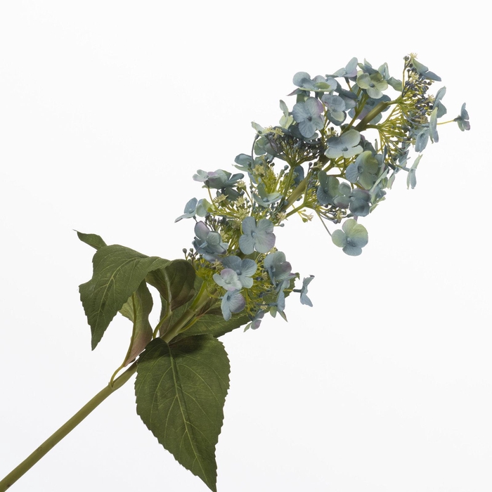 <h4>Hydrangea Butterfly Blue FL440372BLU</h4>