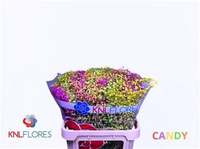 <h4>Gyps Klb H% Candy</h4>