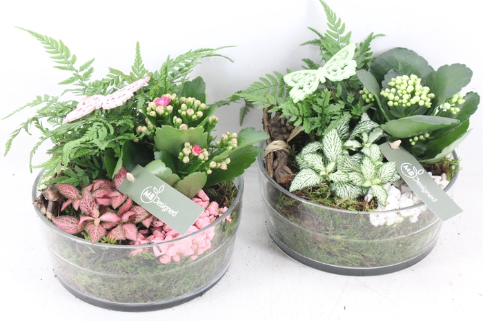 <h4>arr2 MB - Glas cilnder dik - roze/wit</h4>