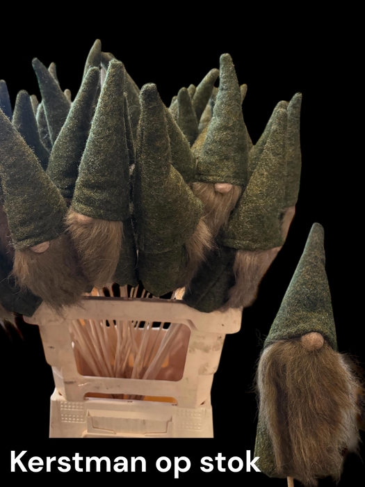 <h4>HUIS EN TUINDECO H%</h4>