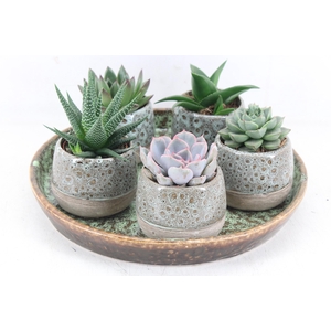 arr2 MB - Ker. luxe bord 5pot eche.