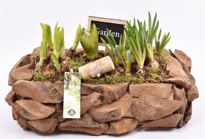 Natuur boomschors 35x20cm