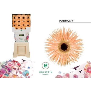 Ge Gs Gersp Harmony