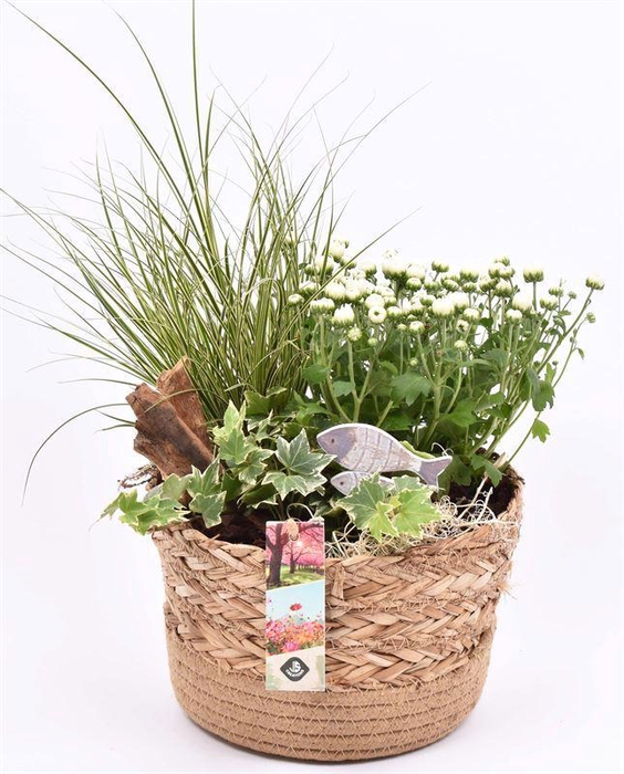 <h4>Natuur mand met jute rand 20cm</h4>