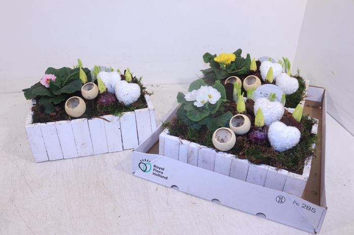 <h4>ARR TUINPLANTEN</h4>