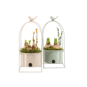 11652: Outdoor spring arrangement