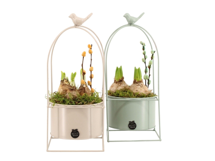 <h4>11652: Outdoor spring arrangement</h4>