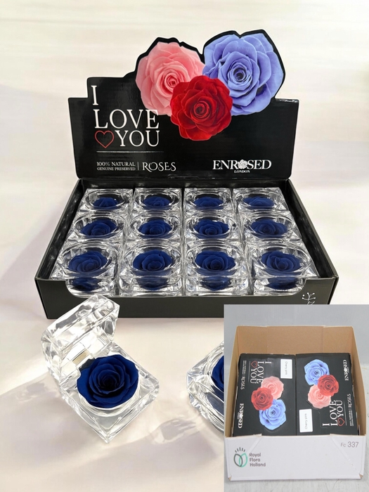 <h4>HUIS EN TUINDECO H%</h4>