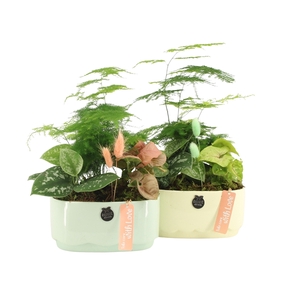 11515: Soft sculpture arrangement