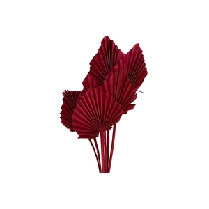 Dried Artz Palm Spear 10pc Monet Bunch