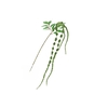 Amaranthus Spray Green FL440079GRN