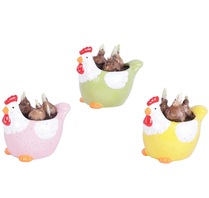 <h4>Easter Arr. Narcis Ceramic Colorful Chicken Mix Ø14cm</h4>